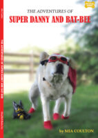 The Adventures of Super Danny and Bat-Bee Chapter Book