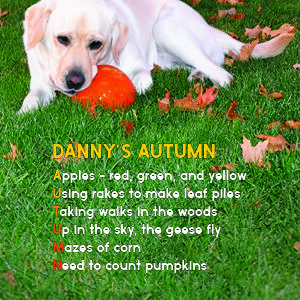 Acrostic Poem