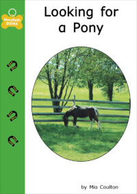 Looking for a Pony