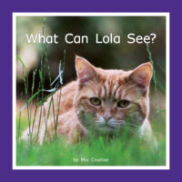 What Can Lola See?