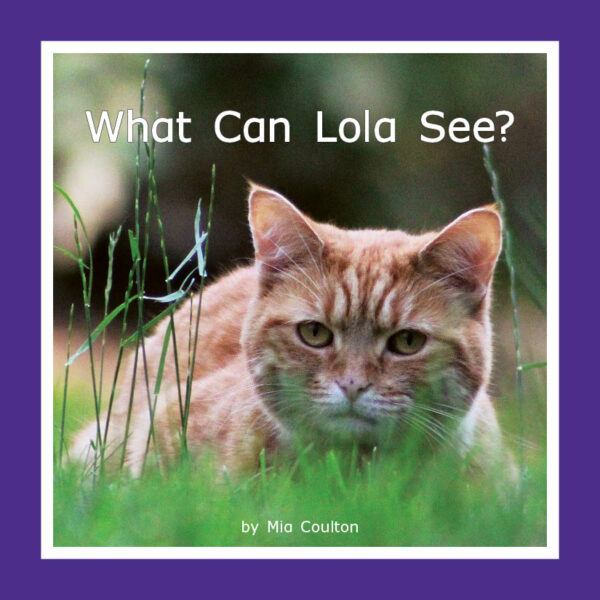 What Can Lola See?