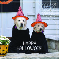 Happy Halloween Card