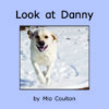 Danny Leveled Set C - Image 19