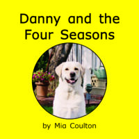 Danny and the Four Seasons
