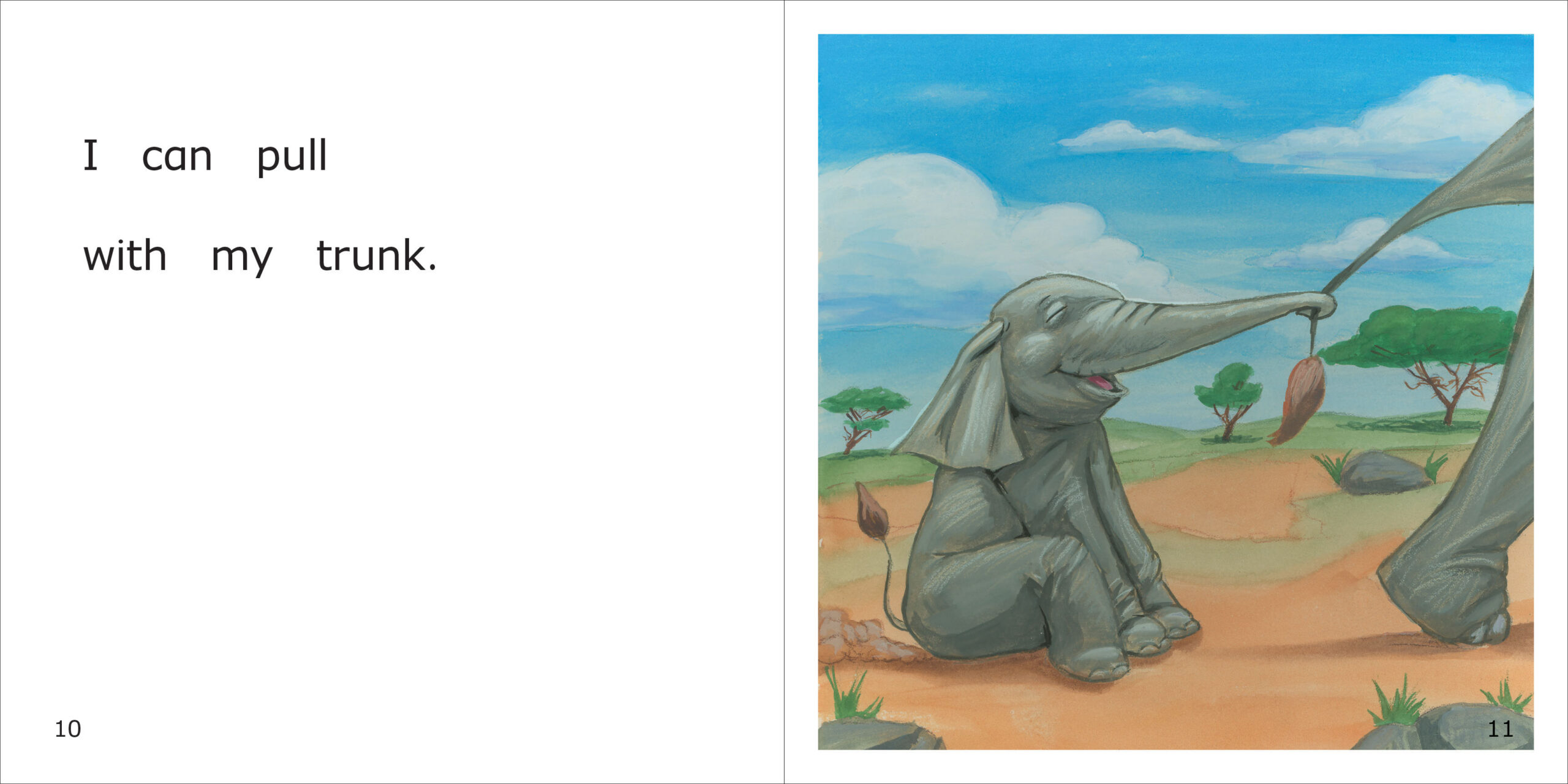 Baby Elephant's Trunk