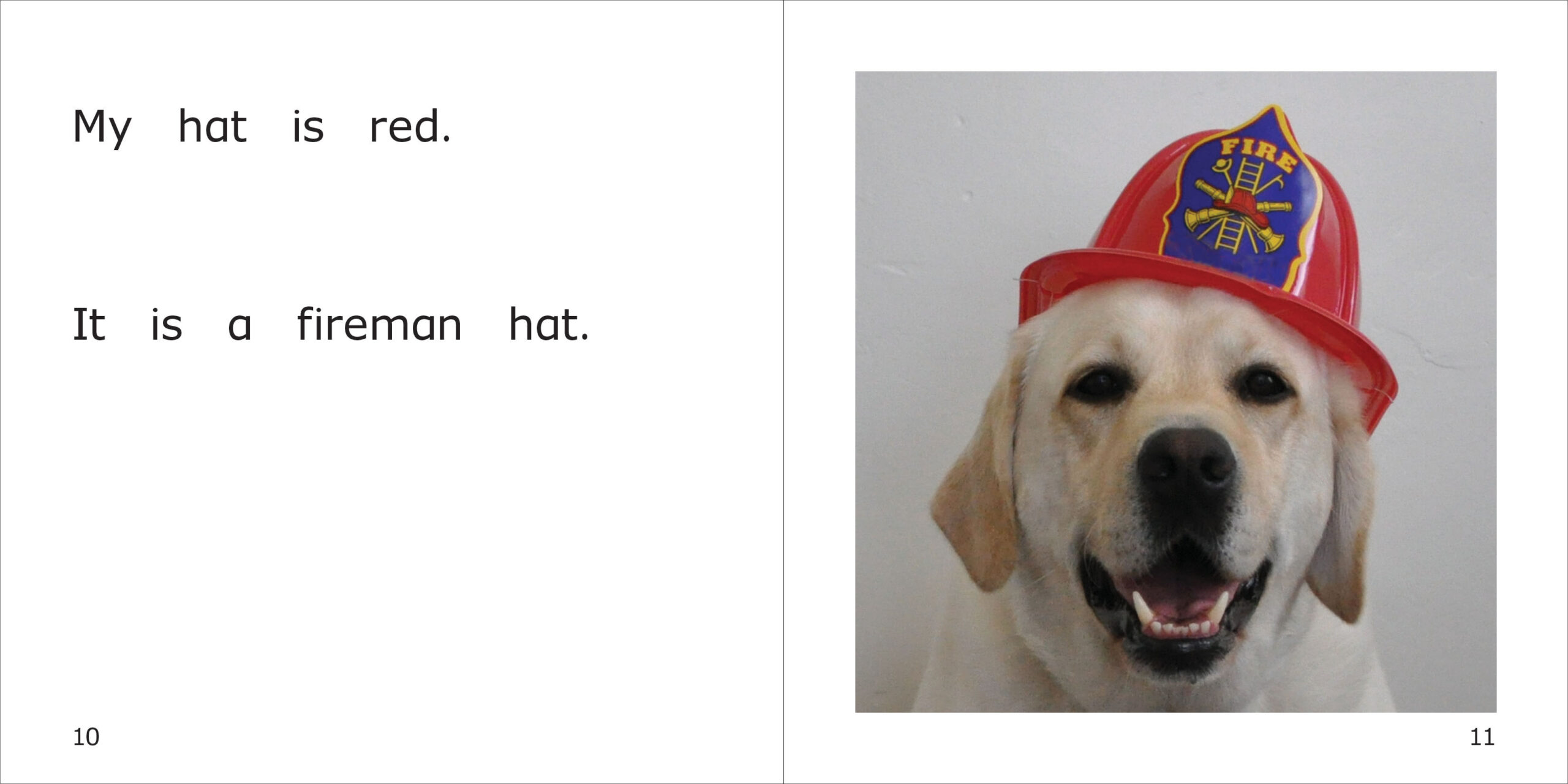 Danny's Hats Spread
