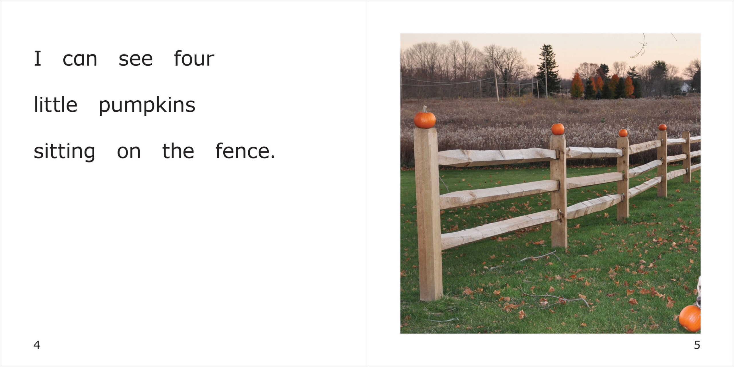 Danny's Five Little Pumpkins Spread