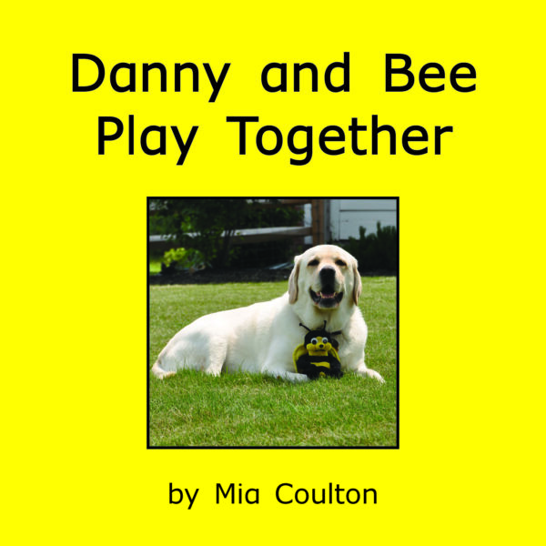 Danny and Bee Play Together Cover