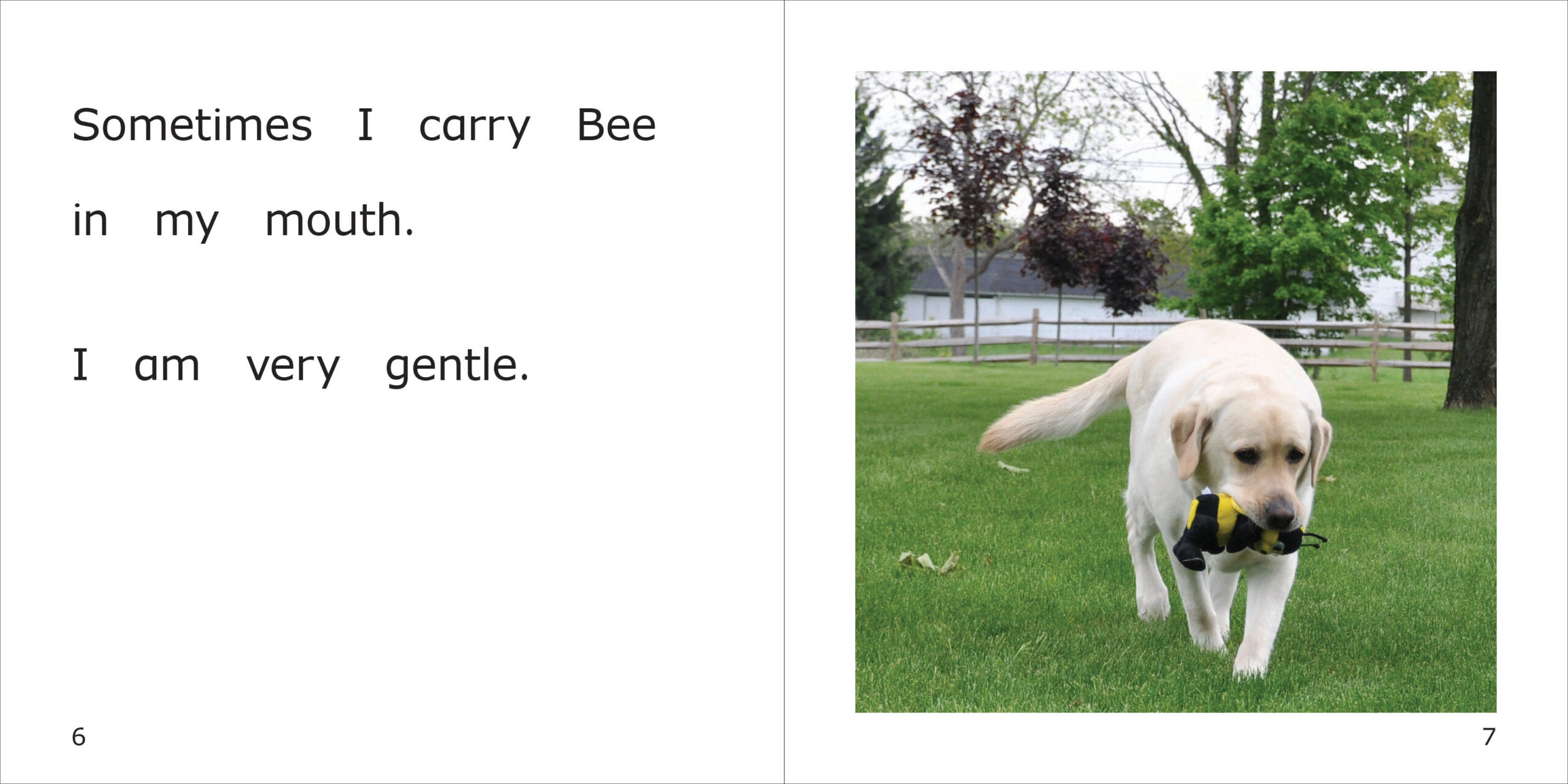 Danny and Bee Play Together Spread