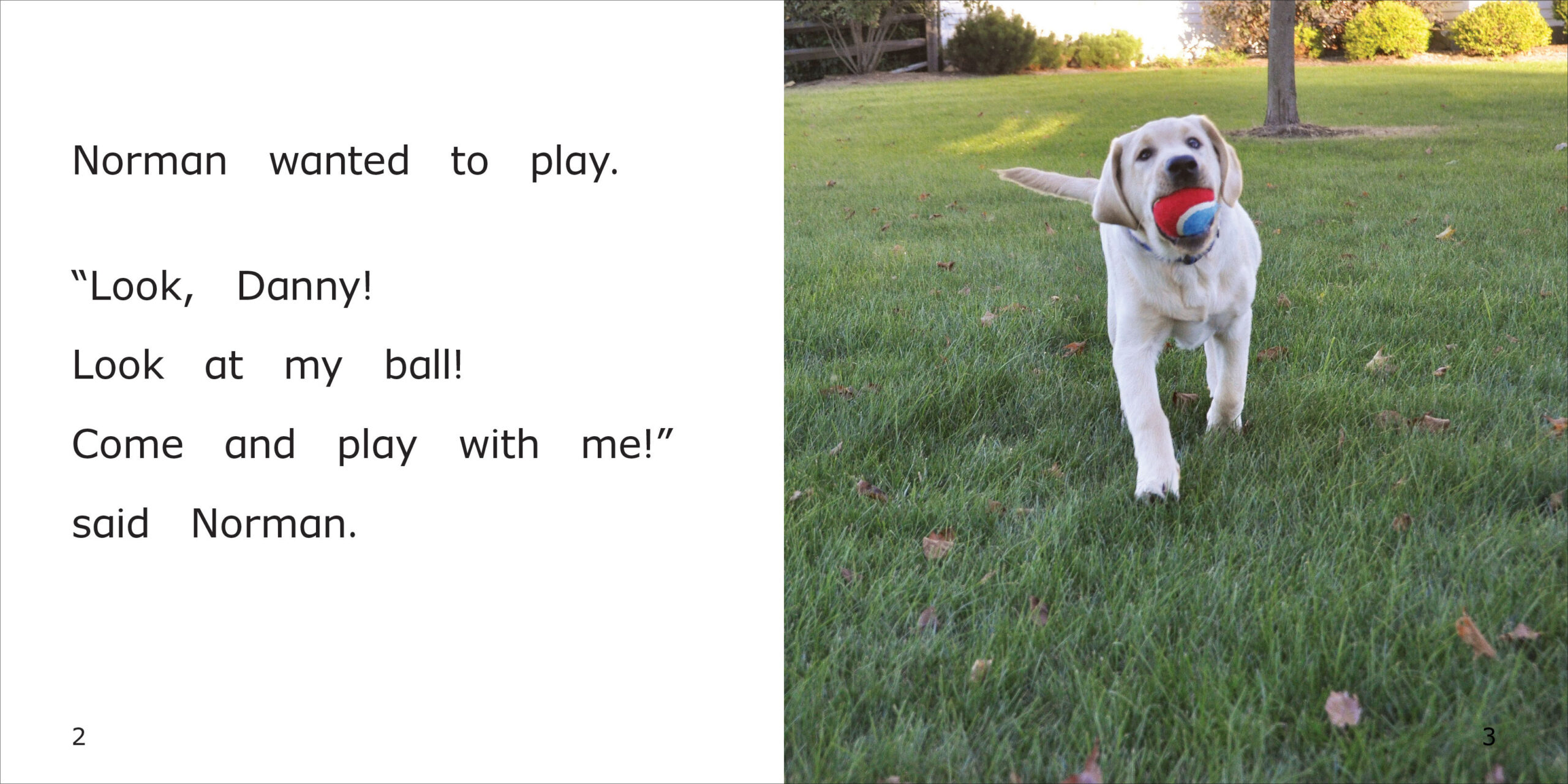 Norman Wants to Play with Danny Spread