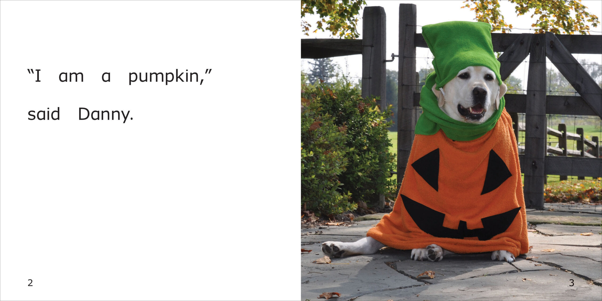 Norman's First Halloween Spread