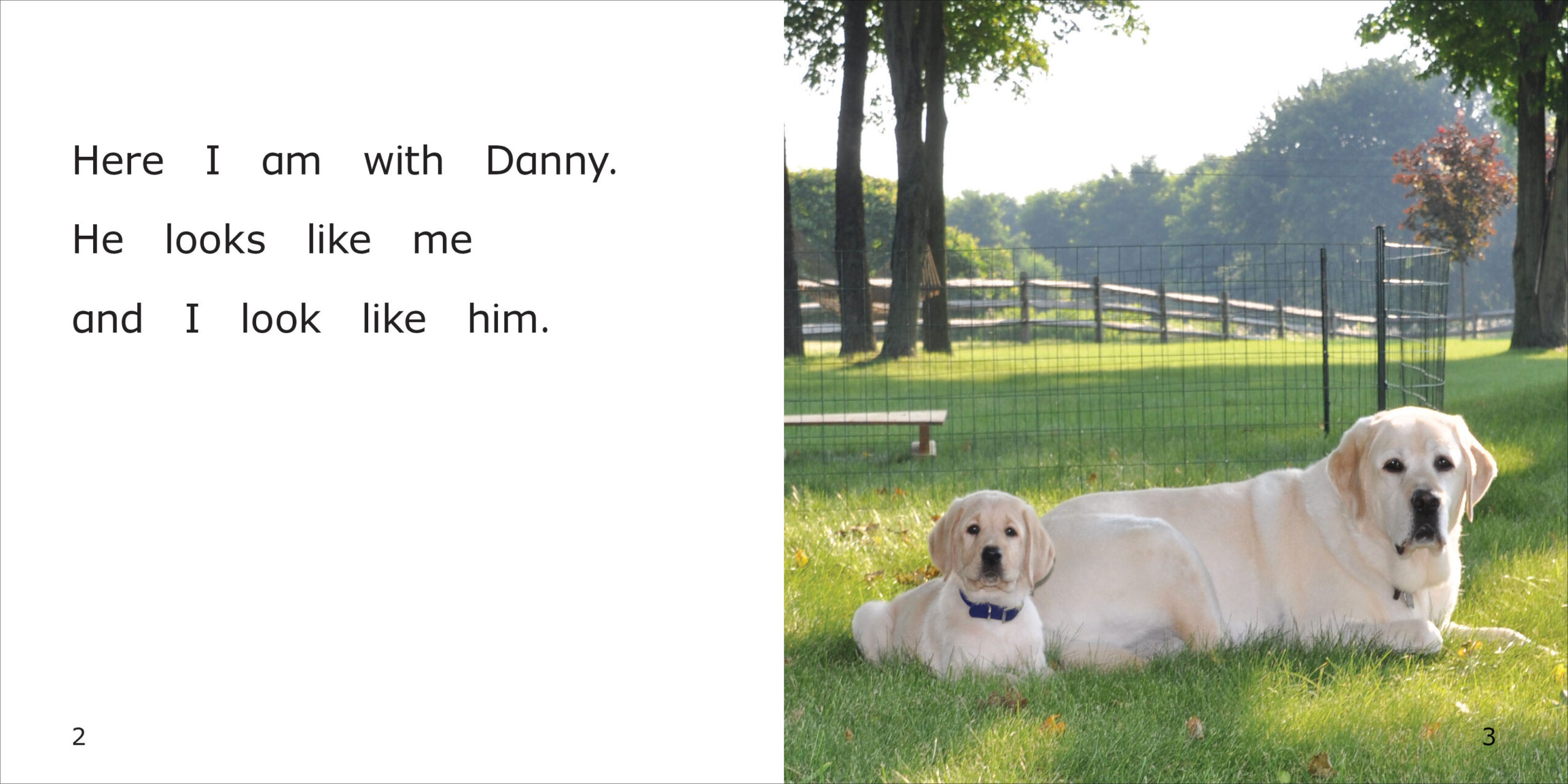 Norman Hides from Danny Spread