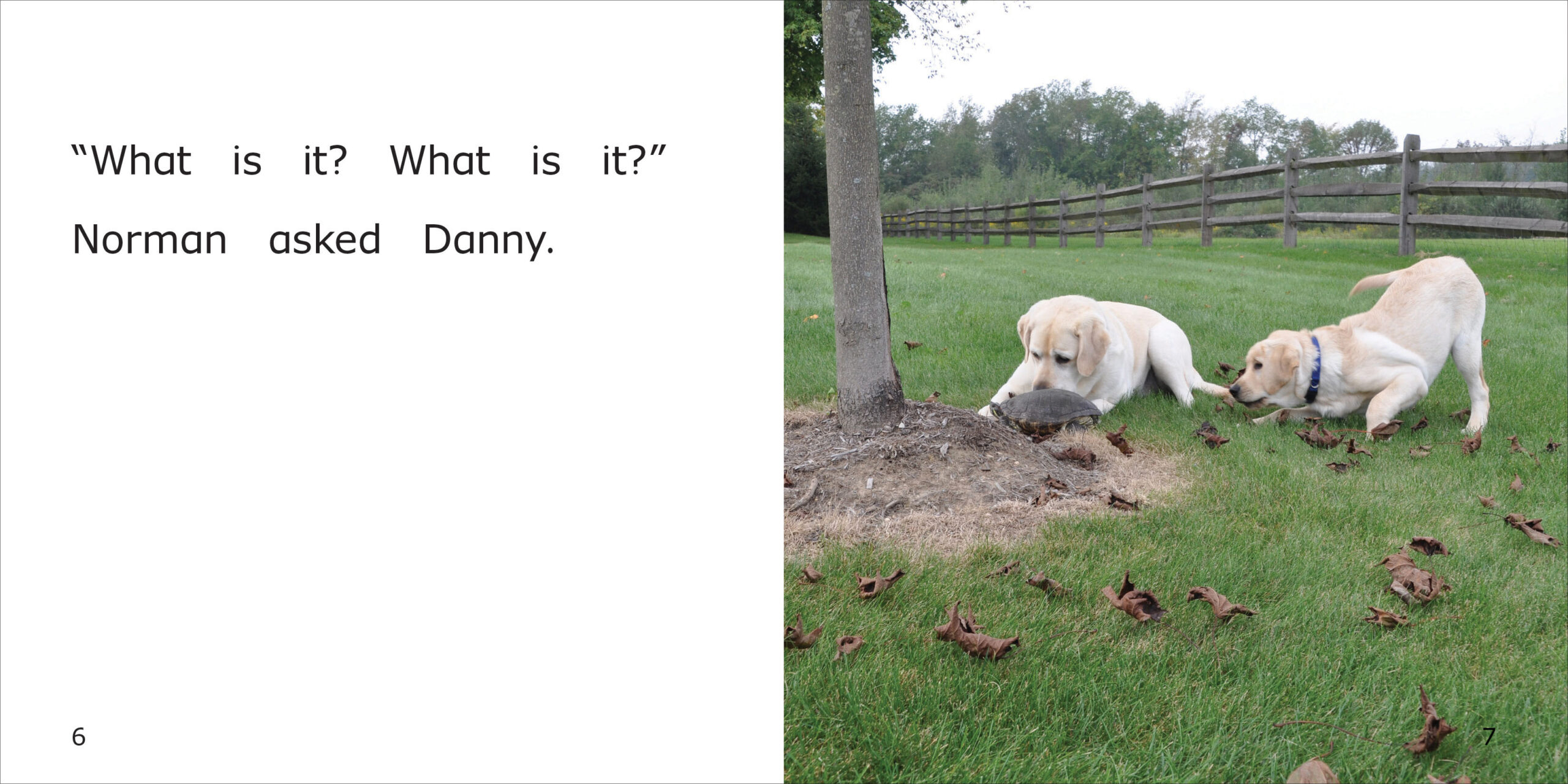 Danny, Norman and the Turtle Spread