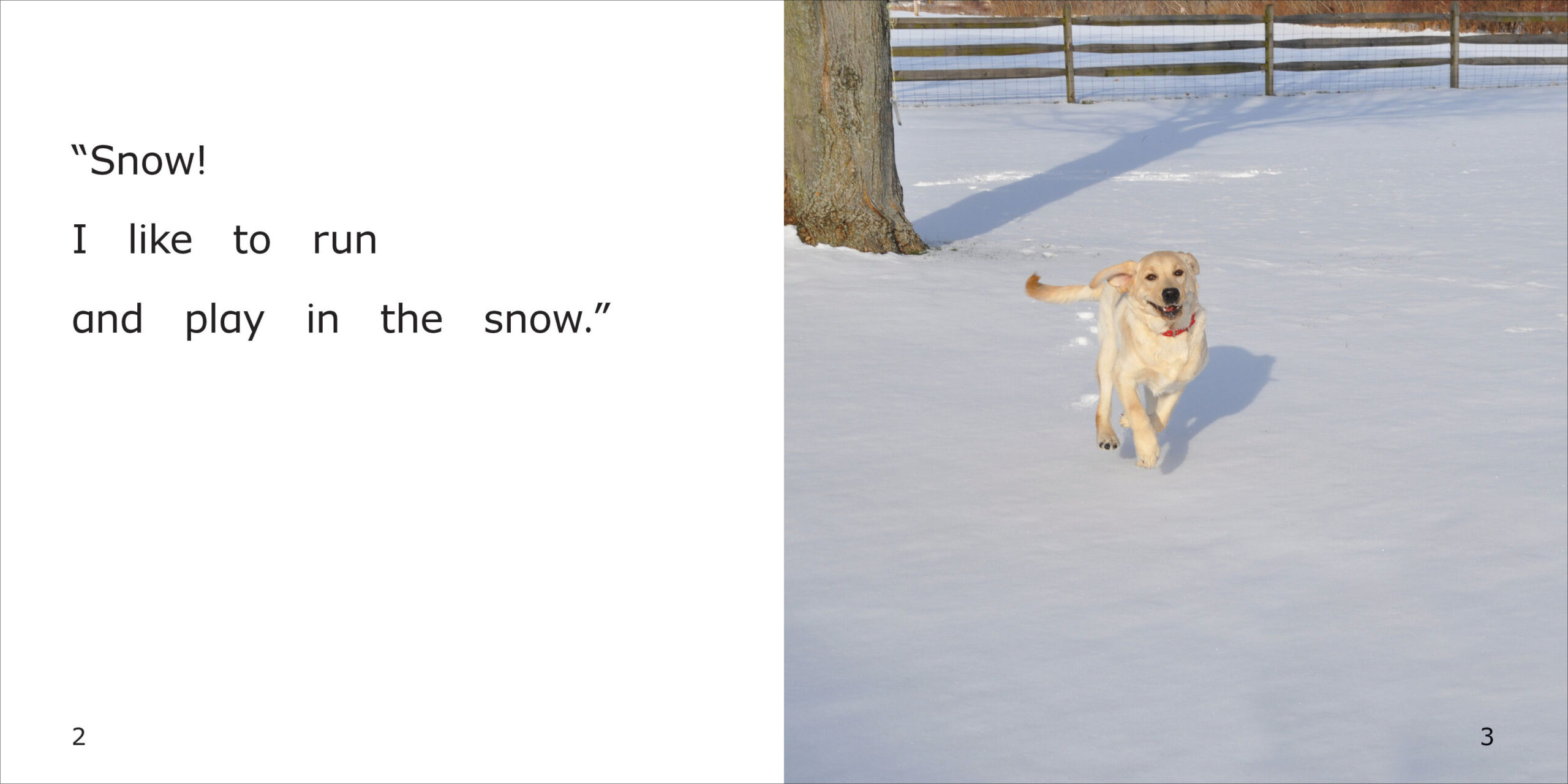 Danny and Norman's Snowman Spread