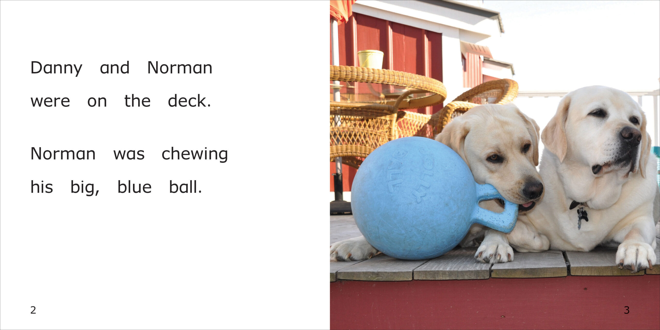 Norman's Loose Tooth Spread