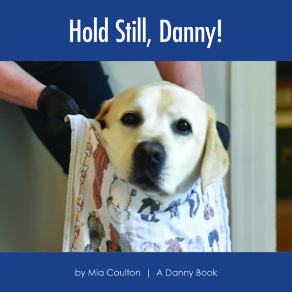 Hold Still, Danny! Cover