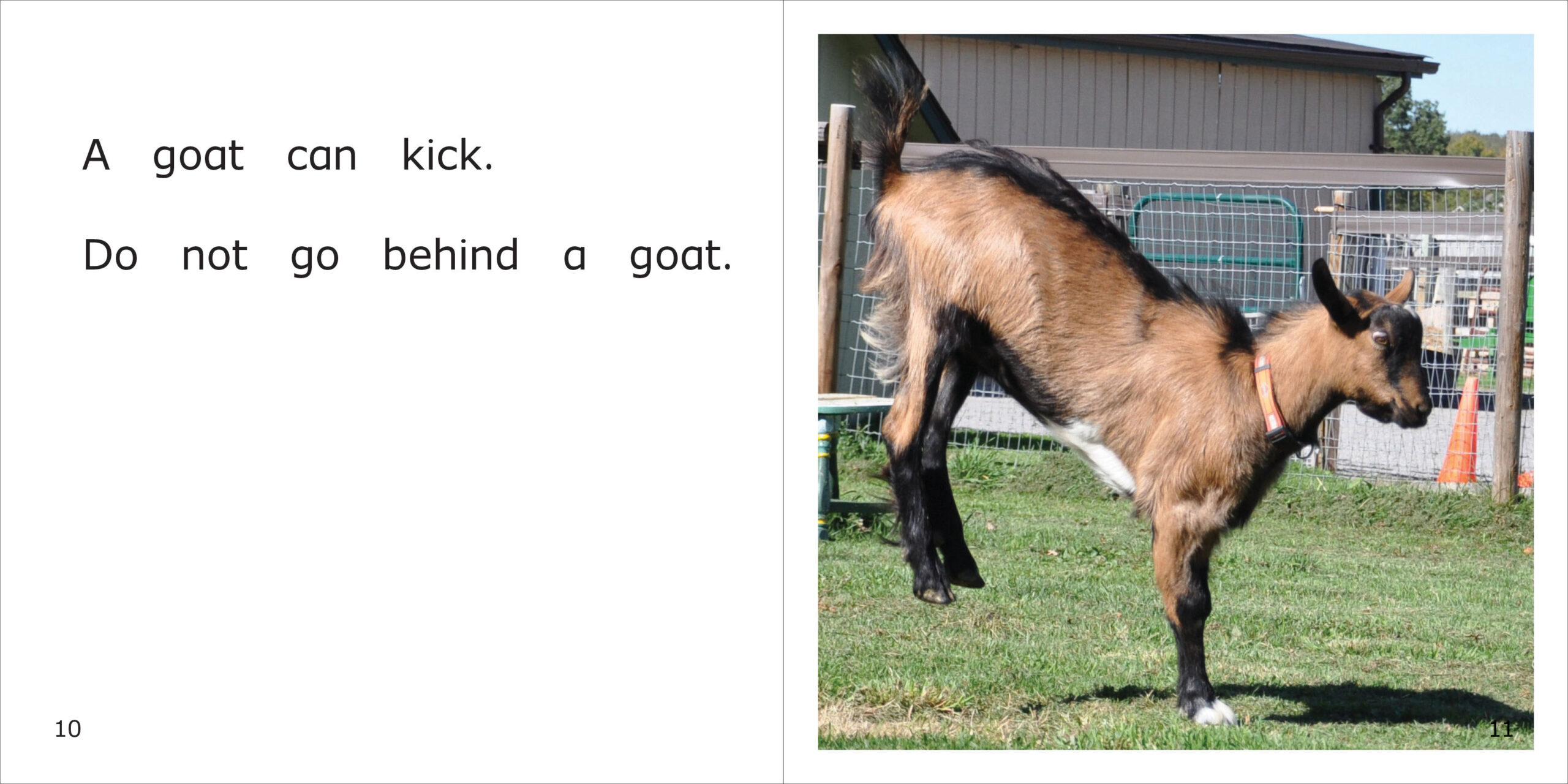 A Goat Spread